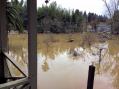 Russian River Flooding (2019).jpg